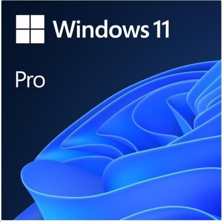 MS ESD Windows Professional...