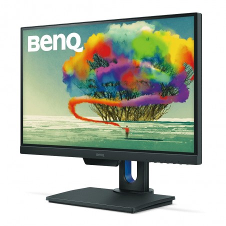 BenQ PD2500Q Office Monitor...