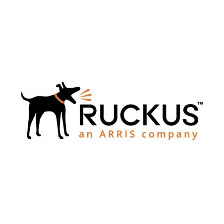 Ruckus Associate Partner...