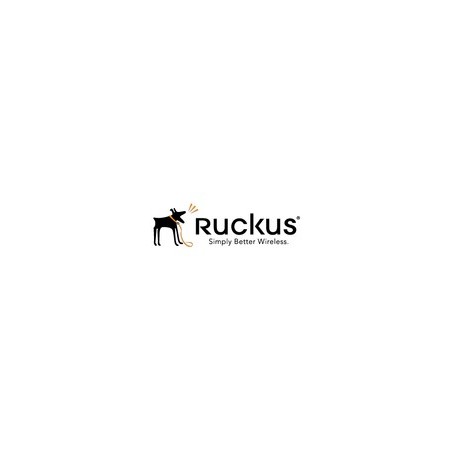 Ruckus 803-E510-3000 - 3...