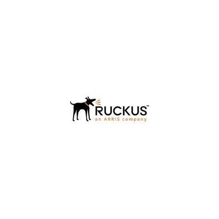 Ruckus 803-T31C-3000 - 3...