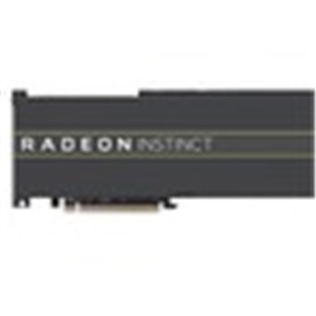 AMD Radeon Instinct MI50 32GB - Graphics card - PCI